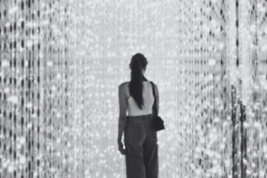 The Digital Iron Curtain: How Payment Barriers Perpetuate Inequality